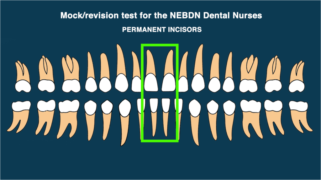 Module7 2 Dental Tutors NEBDN Dental Nurse Courses Online module7-2-dental-tutors-nebdn-dental-nurse-courses-online